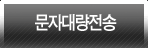 ���ڴ뷮����